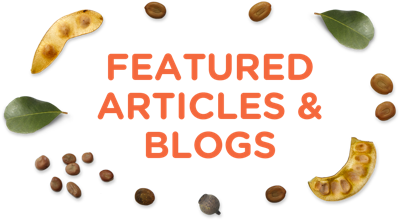 Featured Articles & Blog